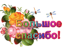 84305_2670415-4307b6b9214f8346.