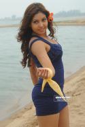 84356_komaljha21.