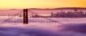 84408_Fog-SF.