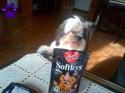 84502_softleys_dog_treats.