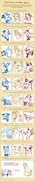 84754_expression_meme.