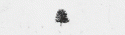 8480tumblr_lr4vvocyYs1qd7xm6o1_500.