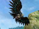 84852_Aion0044.