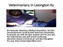 84927_Veterinarians_In_Lexington_Ky.