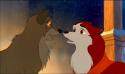 8495_balto.