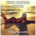 84979_4xtJ9XUP-So.