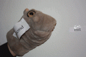 85314_file.