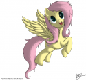 85383_fluttershy_by_foxkin-d4w644t234234.