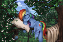 85416_dashie_by_yakovlev_vad-d6qsh2a.