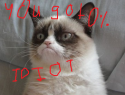 85429_grumpycatgrades.