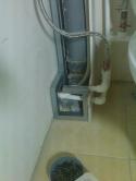 85491_imag0246.