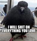 85496_ebd.