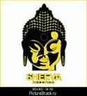 8552Sheeva_Records.