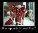 85613_67345060_kak-proshyol-novyij-god.
