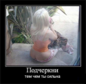 8564Humor_10.