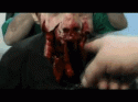 8566_gore02.