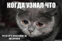 85694_pichalka_58271121_orig_.