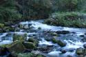 85741_Nyfors-127.