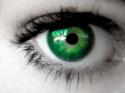 85_greeneye2.