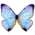 86094_Morpho-Sulkowski-Pearl-Morpho-icon.