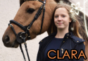 86378_clara-v1.