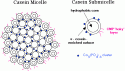86441_Micellar_casein.
