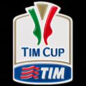 8665TIM-CUP256.