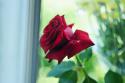 86759_cSl8yzGQSKc.