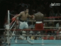 86765_ali-ducks-punches.
