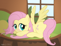 86819_29534_-_fluttershy.