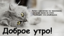 86993_2014-09-15_080814.