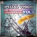 87003_1292507070_special-vision-electro-house-sound-of-soul-vol_2-september-2010.