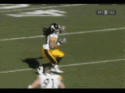 87025_th_thPOLAMALU.