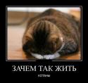 87057_Y5lQFCIz0-Y.