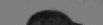 87217_15759588napssimtilarirea4585133.