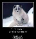 8721pisec.