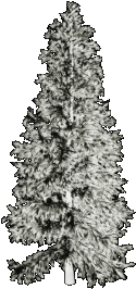 87285_mzimm_icyandfrosty_tree.
