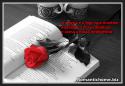 8747amizade1129.