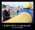 87515_za_drovami.