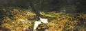 8762_tumblr_mjrqznbH4i1qbfdtto3_500.