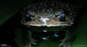 87641_National-Geographic-3-4.