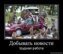 87661285667198_355513_dobyivat-novosti.