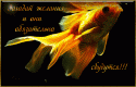 87742_0d265fe2d5fd323c5cc572095b6d0914.