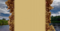 8786Fon_2.