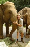 8807elephants_steve-600.