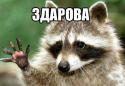 88307_g5WVBUn2jjI.