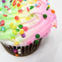 8833colorful_cupcake-1557.