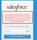 88455_2014-03-17_14-22-30_salesforce_com_-_Customer_Secure_Login_Page_-_Google_Chrome.