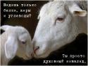 88552_Dyhovnyi_invalid.