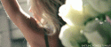 88553_Lindsay-Ellingson-vs-angels-21332071-500-213.